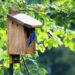 11 FREE DIY Birdhouse Plans Built for $3 - FreshPatio