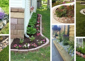 21 Modern Garden Edging Ideas for Contemporary Homes