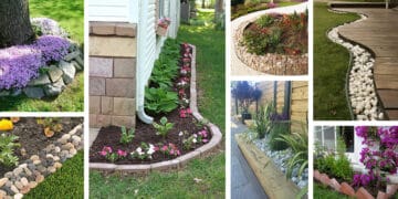 21 Modern Garden Edging Ideas for Contemporary Homes