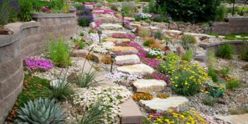 Best Black Rocks Landscaping Ideas to Create a Dreamy Look