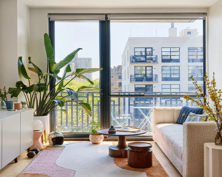 Friendly House Plants