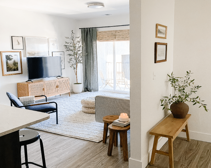Minimalist Apartments Decor