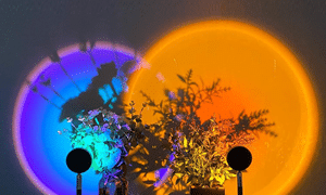 Where to buy TikTok's viral sunset lamps in 2023
