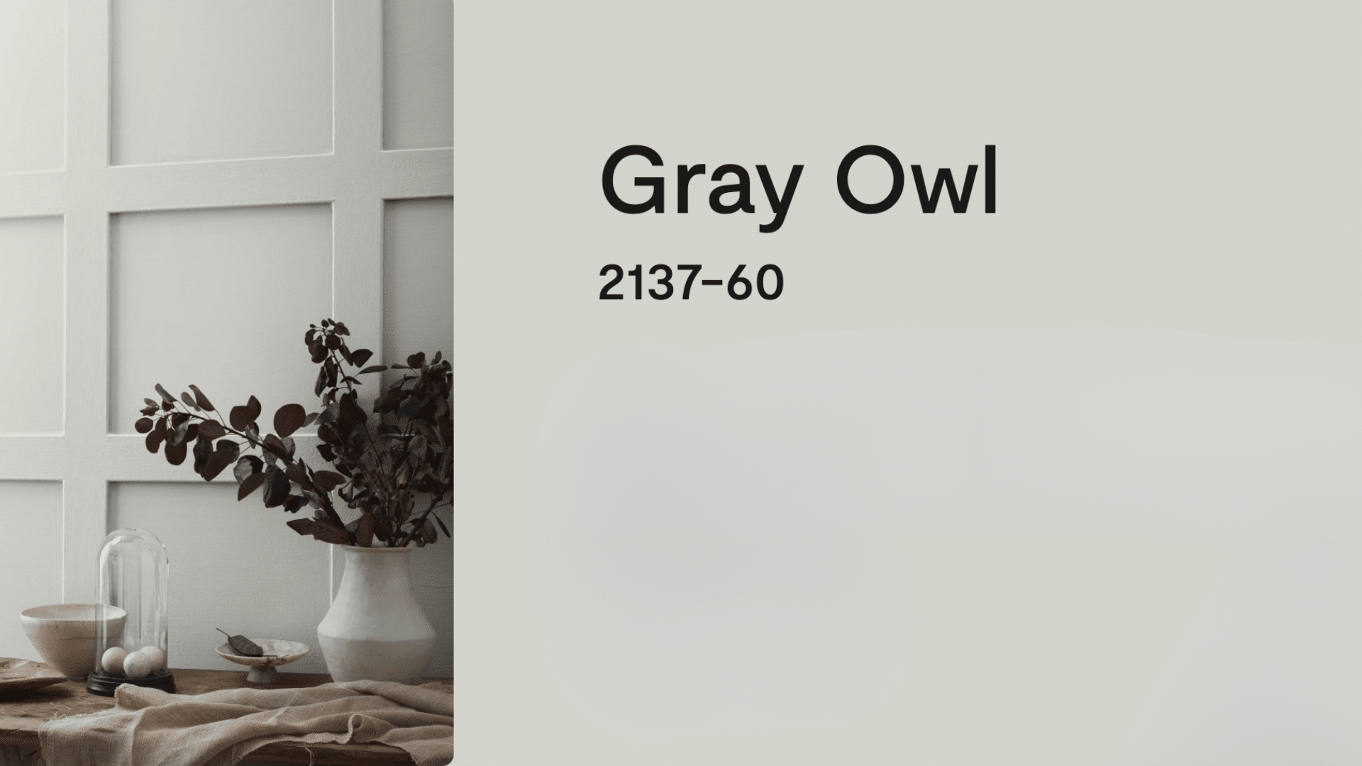 Benjamin_Moore_Gray_Owl