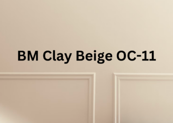 Clay Beige Benjamin Moore (OC-11)