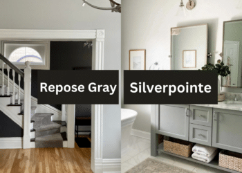 Compare Repose Gray (SW 7015)