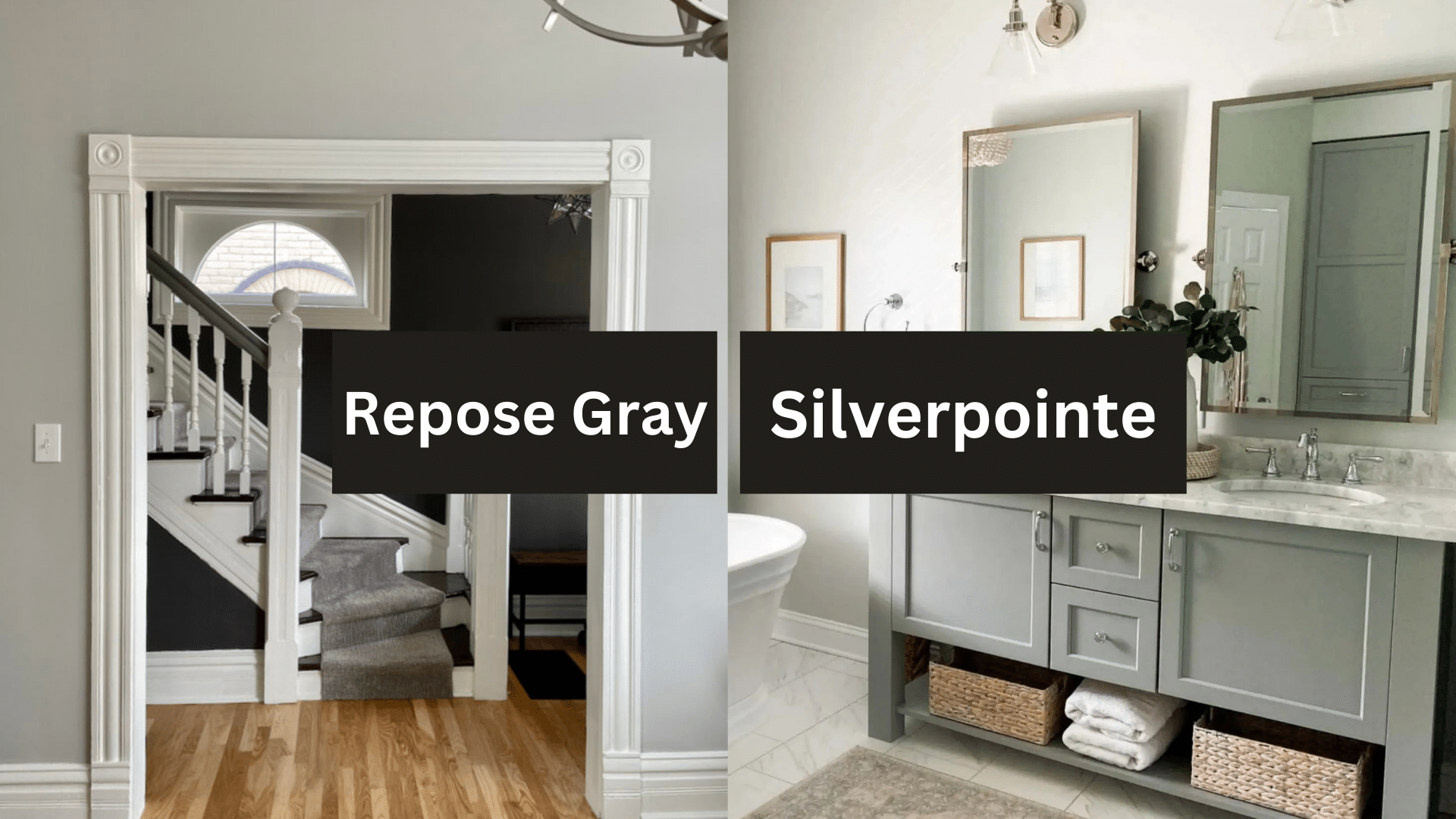 Compare Repose Gray (SW 7015)