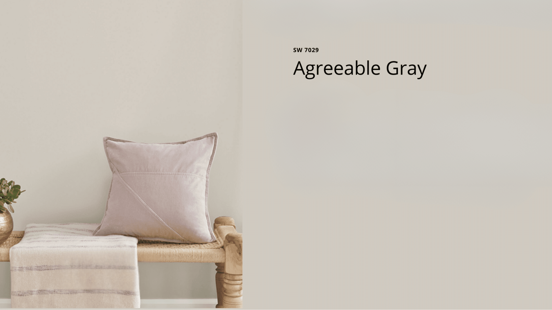 Sherwin-Williams_Agreeable_Gray