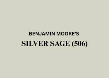 benjamin moore silver sage paint guide review