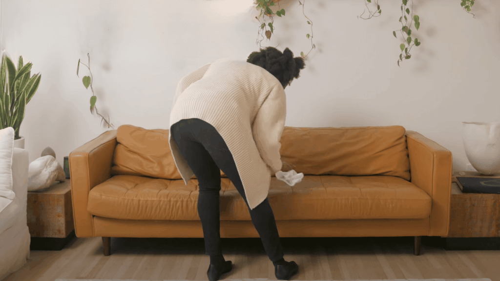 dust and vaccum throughly