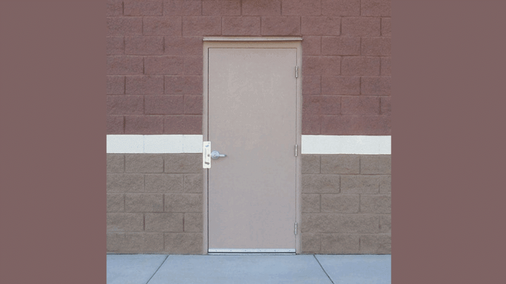 flush panel steel door