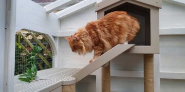 how to build a catio