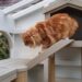 how to build a catio