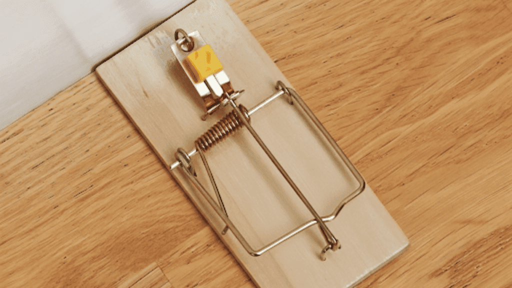 how to set a snap mousetrap spring trap
