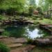 pond-ideas-on-a-budget