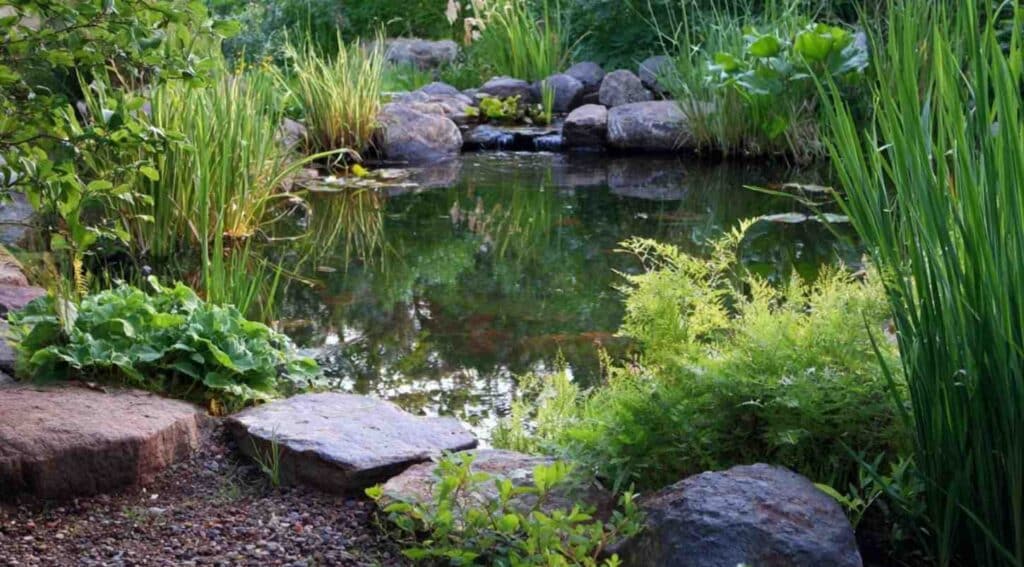 use native plants for a natural loo