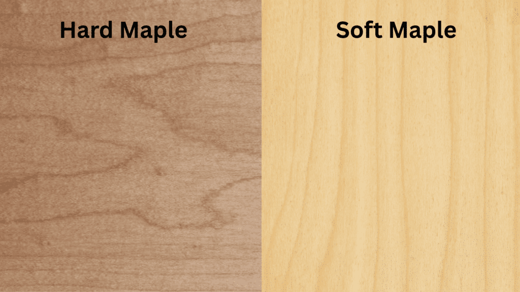 maple hard soft